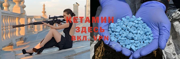 гидра Гусиноозёрск