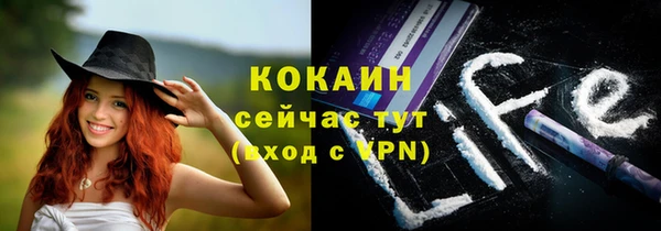 молекула духа Гусев