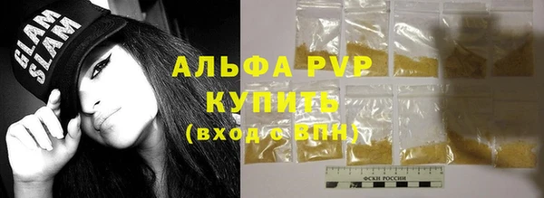 гидра Гусиноозёрск