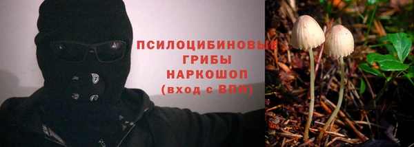 молекула духа Гусев