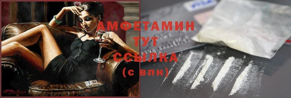 гидра Гусиноозёрск