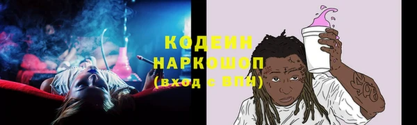гидра Гусиноозёрск