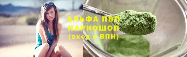 молекула духа Гусев