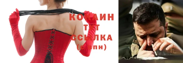 молекула духа Гусев
