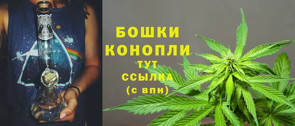 гидра Гусиноозёрск